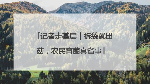 记者走基层｜拆袋就出菇，农民育菌真省事
