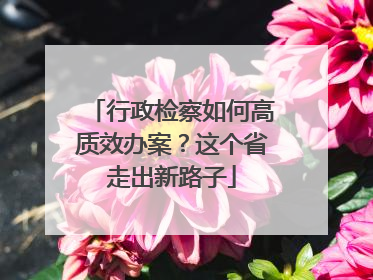 行政检察如何高质效办案？这个省走出新路子