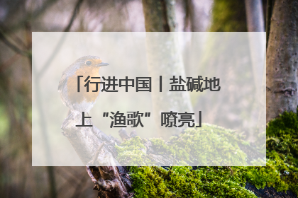 行进中国丨盐碱地上“渔歌”嘹亮