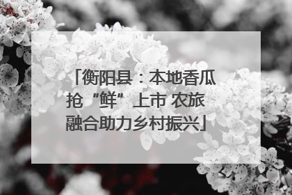 衡阳县：本地香瓜抢“鲜”上市 农旅融合助力乡村振兴