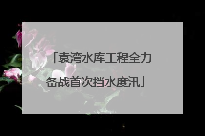 袁湾水库工程全力备战首次挡水度汛