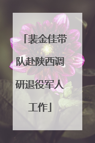裴金佳带队赴陕西调研退役军人工作