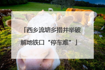 西乡流塘多措并举破解地铁口“停车难”