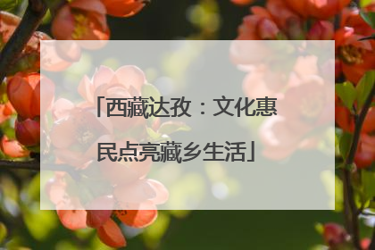 西藏达孜：文化惠民点亮藏乡生活