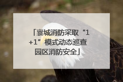 襄城消防采取“1+1”模式动态巡查园区消防安全