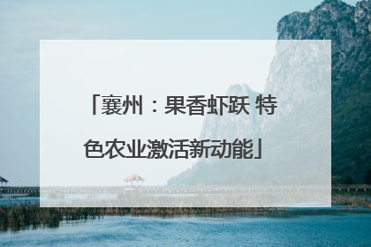 襄州：果香虾跃 特色农业激活新动能