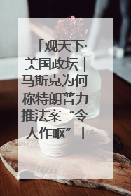 观天下·美国政坛｜马斯克为何称特朗普力推法案“令人作呕”