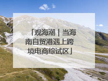 观海潮｜当海南自贸港遇上跨境电商综试区
