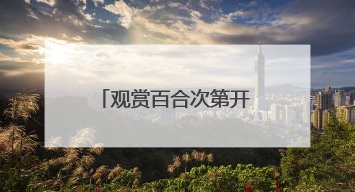 观赏百合次第开 农旅融合新样本 “胜日寻芳·花漾兰州”系列报道之七
