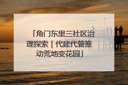 角门东里三社区治理探索｜代建代管推动荒地变花园