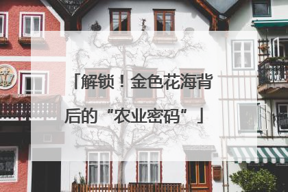 解锁！金色花海背后的“农业密码”