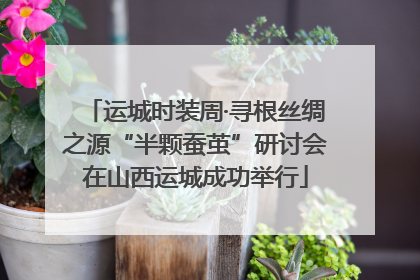 运城时装周·寻根丝绸之源“半颗蚕茧”研讨会在山西运城成功举行