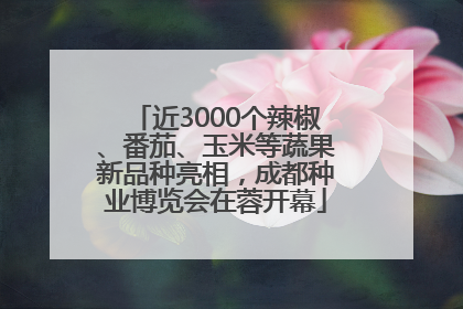 近3000个辣椒、番茄、玉米等蔬果新品种亮相，成都种业博览会在蓉开幕