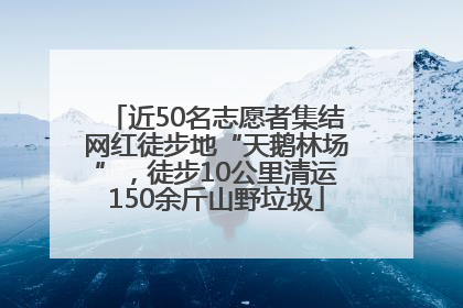 近50名志愿者集结网红徒步地“天鹅林场”，徒步10公里清运150余斤山野垃圾