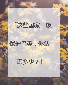 这些国家一级保护鸟类，你认识多少？