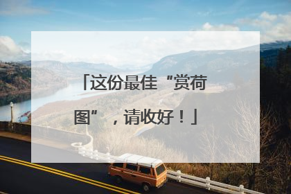 这份最佳“赏荷图”，请收好！