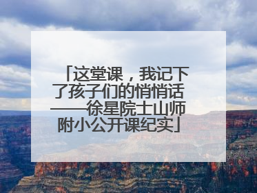 这堂课，我记下了孩子们的悄悄话——徐星院士山师附小公开课纪实