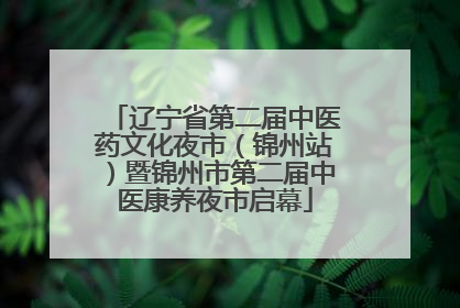 辽宁省第二届中医药文化夜市（锦州站）暨锦州市第二届中医康养夜市启幕