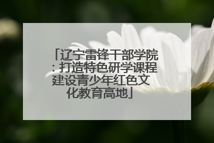 辽宁雷锋干部学院：打造特色研学课程 建设青少年红色文化教育高地