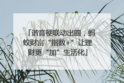 谐音梗联动出圈，蚂蚁财富“指数+”让理财更“加”生活化