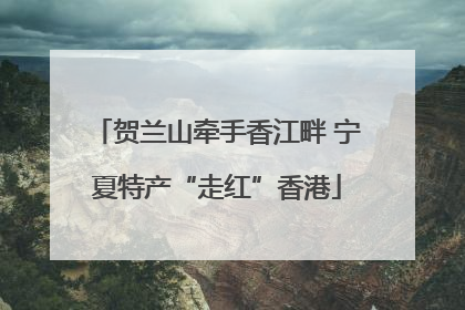 贺兰山牵手香江畔 宁夏特产“走红”香港