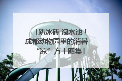 趴冰砖 泡水池！成都动物园里的消暑“凉”方丨图集