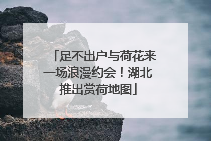 足不出户与荷花来一场浪漫约会！湖北推出赏荷地图