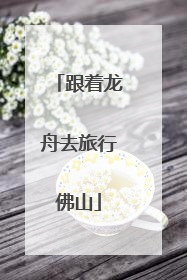 跟着龙舟去旅行佛山