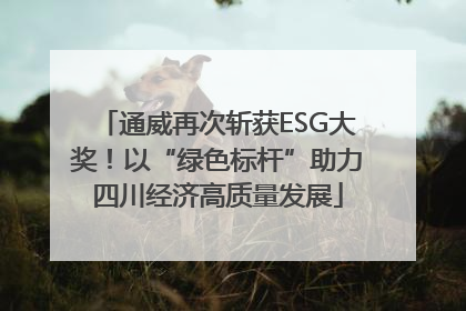通威再次斩获ESG大奖！以“绿色标杆”助力四川经济高质量发展