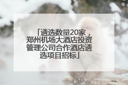 遴选数量20家，郑州机场大酒店投资管理公司合作酒店遴选项目招标