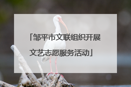邹平市文联组织开展文艺志愿服务活动