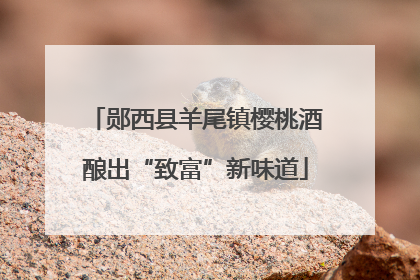 郧西县羊尾镇樱桃酒酿出“致富”新味道