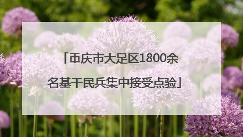 重庆市大足区1800余名基干民兵集中接受点验