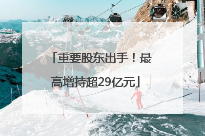 重要股东出手！最高增持超29亿元