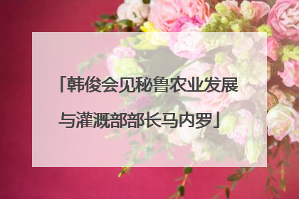 韩俊会见秘鲁农业发展与灌溉部部长马内罗