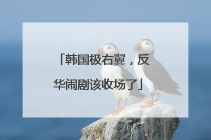 韩国极右翼，反华闹剧该收场了