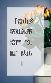青山乡精准施策培育“头雁”队伍