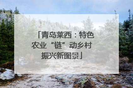 青岛莱西：特色农业“链”动乡村振兴新图景