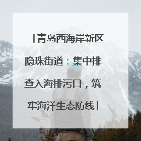 青岛西海岸新区隐珠街道：集中排查入海排污口，筑牢海洋生态防线