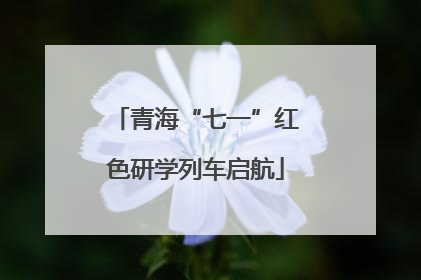 青海“七一”红色研学列车启航
