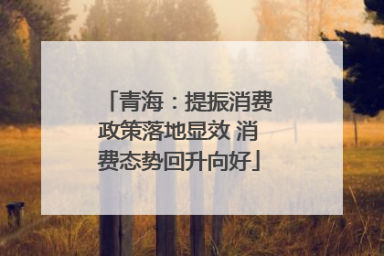 青海：提振消费政策落地显效 消费态势回升向好