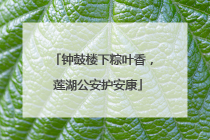钟鼓楼下粽叶香，莲湖公安护安康