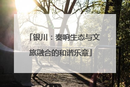 银川：奏响生态与文旅融合的和谐乐章