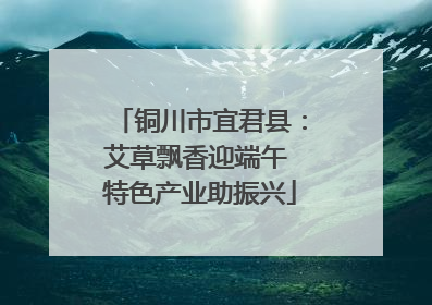 铜川市宜君县：艾草飘香迎端午 特色产业助振兴