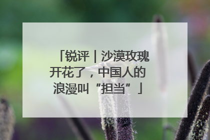 锐评｜沙漠玫瑰开花了，中国人的浪漫叫“担当”