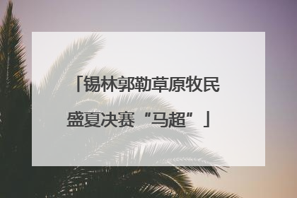 锡林郭勒草原牧民盛夏决赛“马超”
