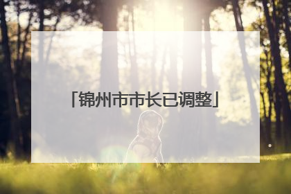 锦州市市长已调整