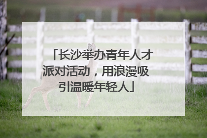 长沙举办青年人才派对活动，用浪漫吸引温暖年轻人