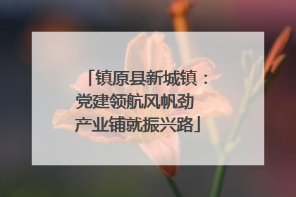 镇原县新城镇：党建领航风帆劲 产业铺就振兴路