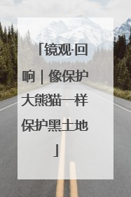 镜观·回响｜像保护大熊猫一样保护黑土地